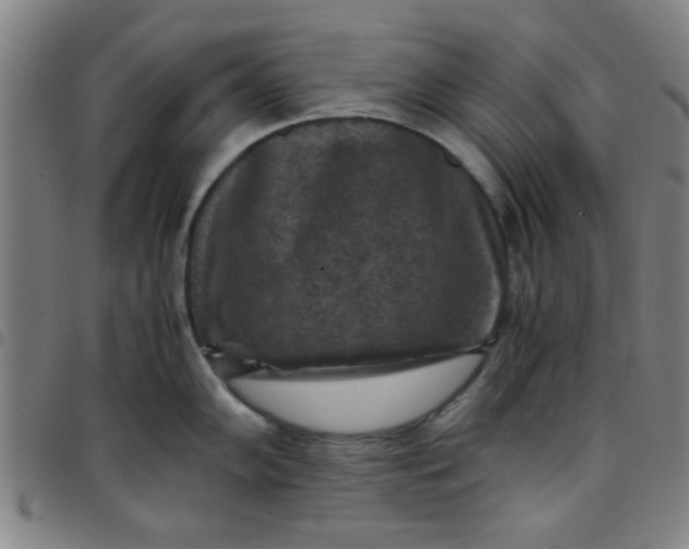 X0000097461102200803071625