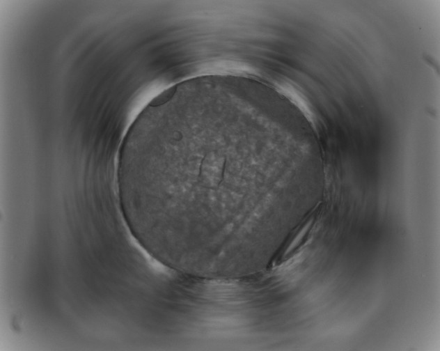 X0000097461103200803071625