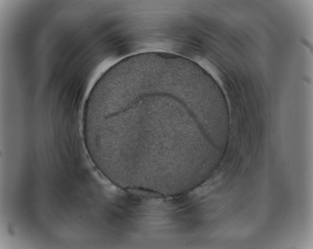 X0000097461104200803071625