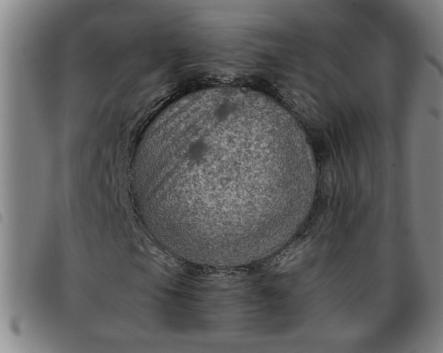 X0000097461105200803071625