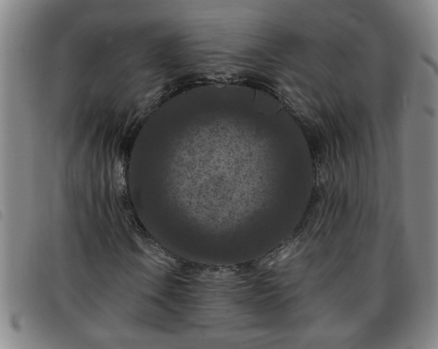 X0000097461106200803071625