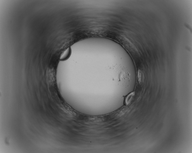 X0000097461107200803071625