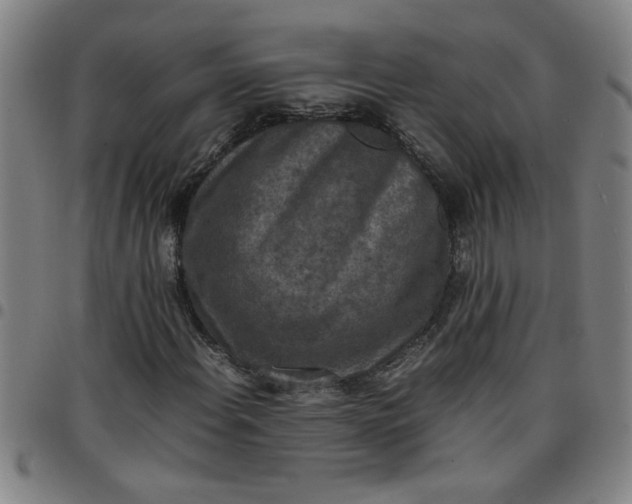 X0000097461108200803071625