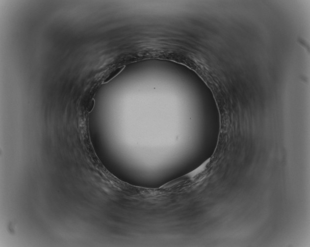 X0000097461109200803071625