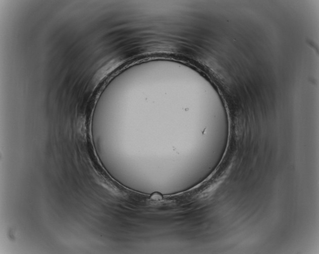 X0000097461113200803071625