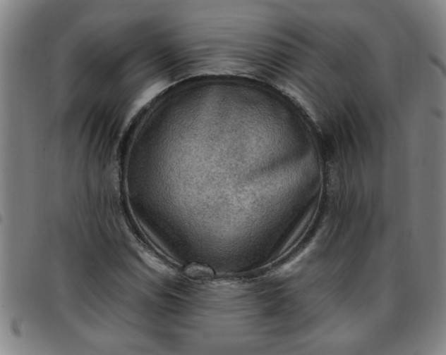 X0000097461114200803071625