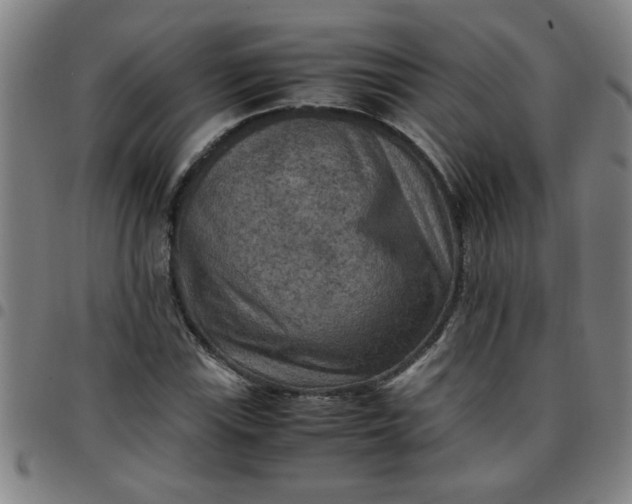 X0000097461115200803071625