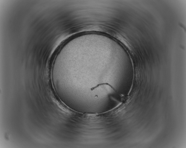 X0000097461116200803071625