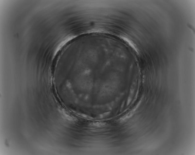 X0000097461117200803071625