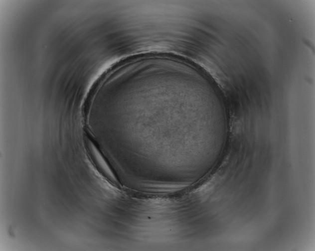 X0000097461118200803071625