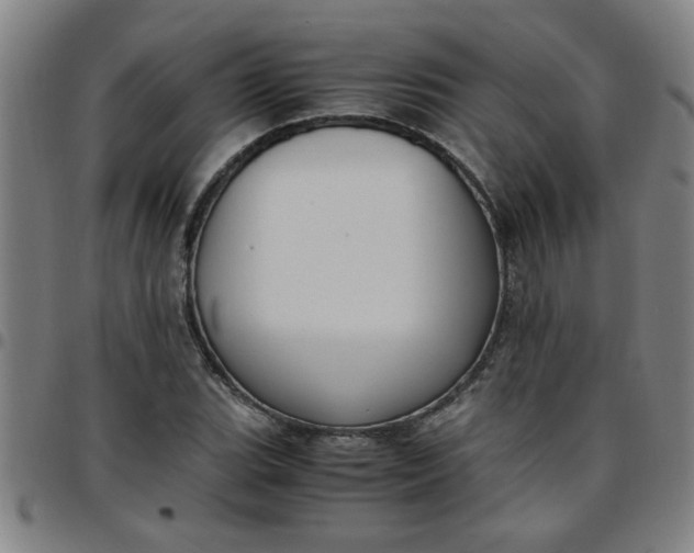 X0000097461119200803071625