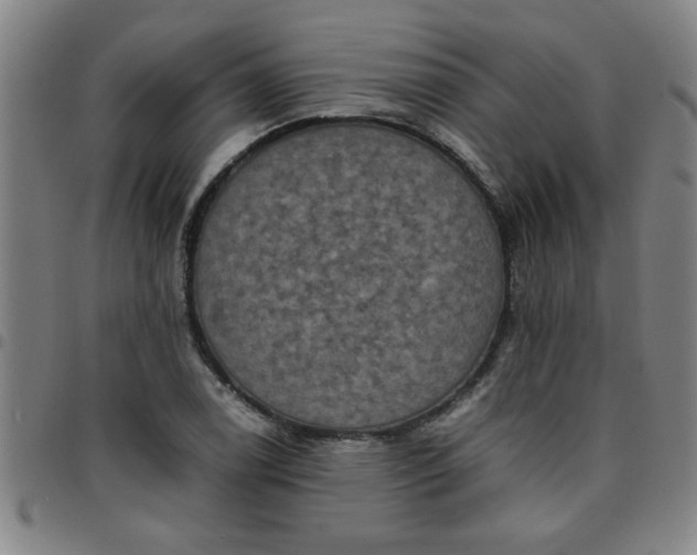 X0000097461122200803071625