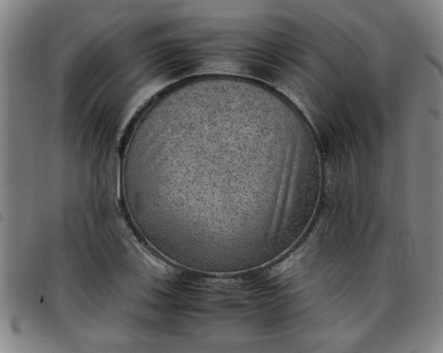 X0000097461123200803071625