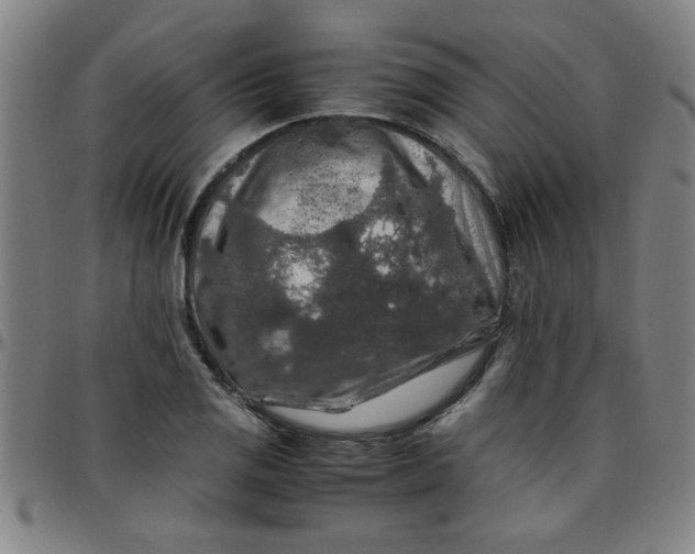 X0000097461125200803071625