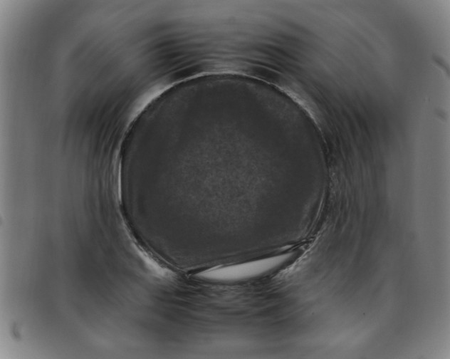 X0000097461127200803071625