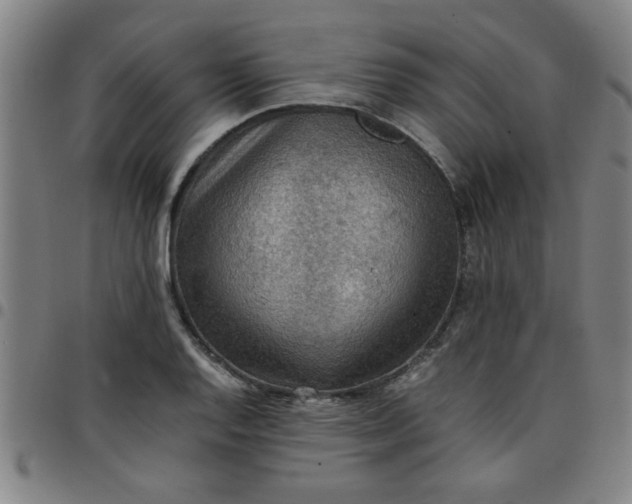 X0000097461128200803071625