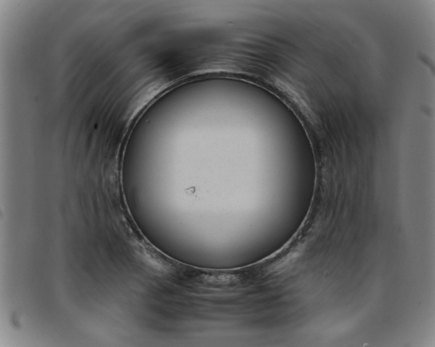 X0000097461129200803071625