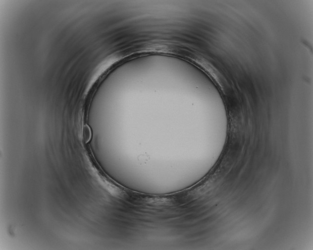 X0000097461131200803071625