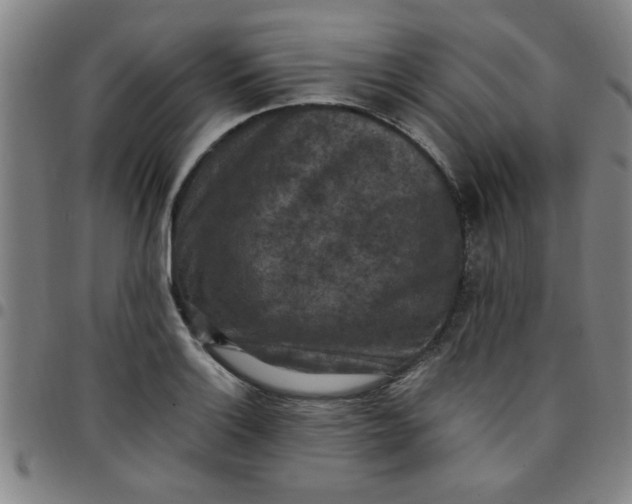 X0000097461132200803071625