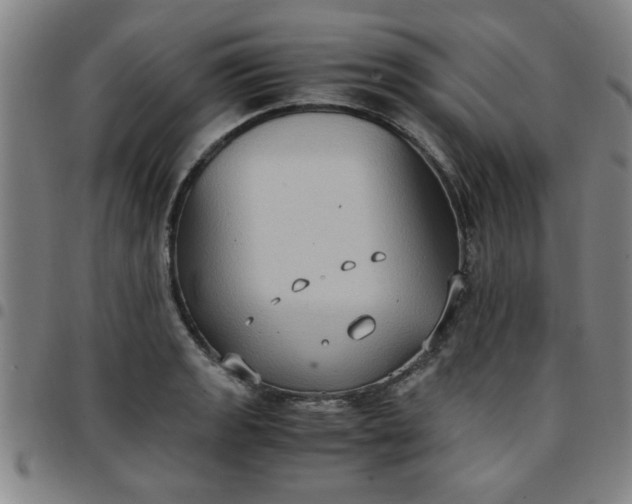 X0000097461133200803071625