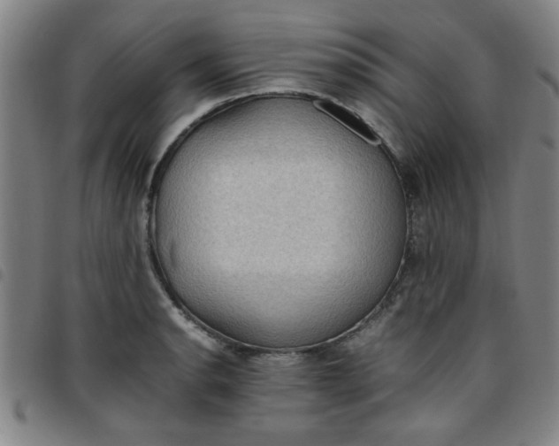 X0000097461134200803071625