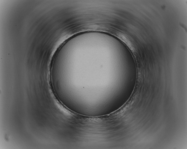 X0000097461136200803071625