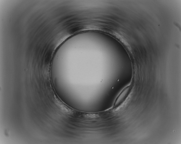 X0000097461137200803071625