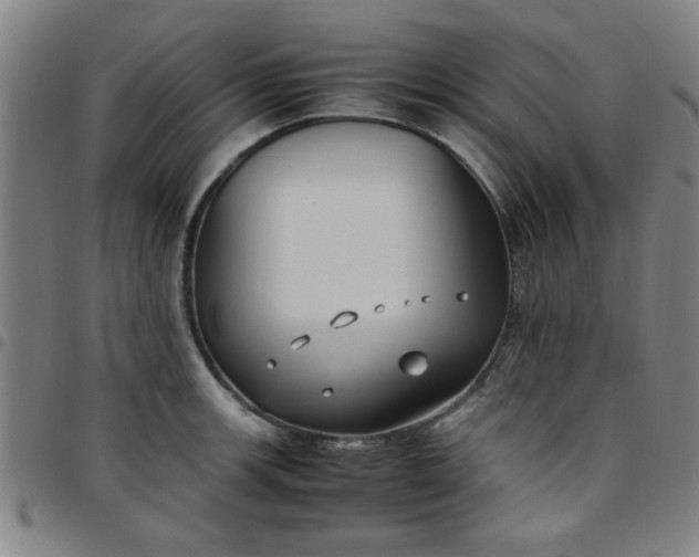 X0000097461139200803071625