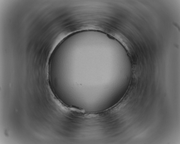 X0000097461140200803071625