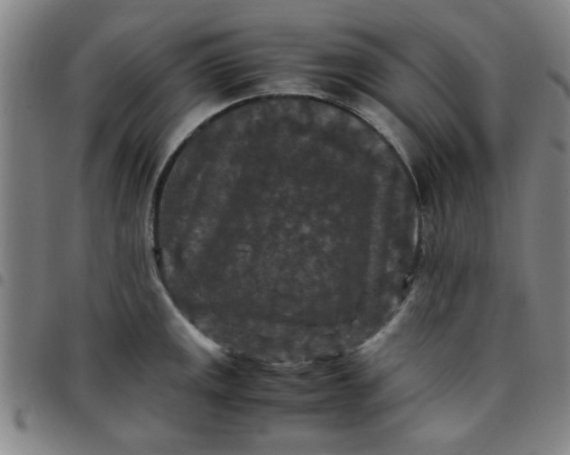 X0000097461141200803071625