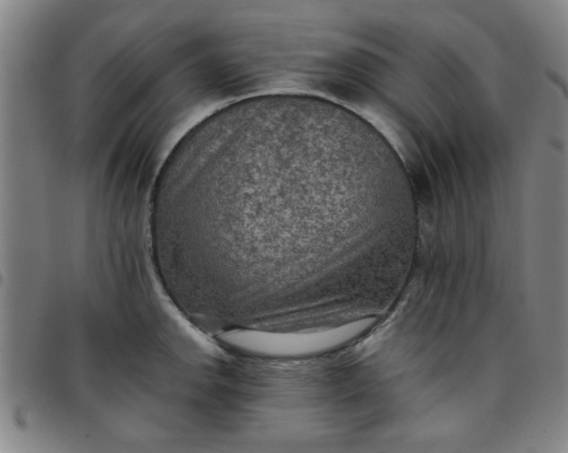 X0000097461142200803071625