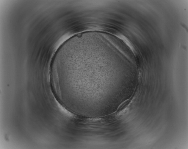 X0000097461143200803071625