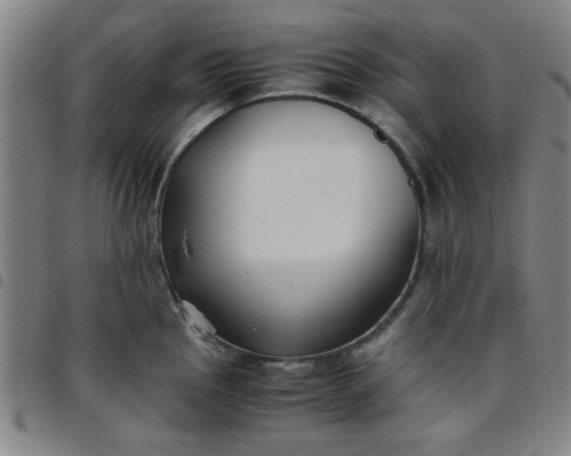 X0000097461145200803071625