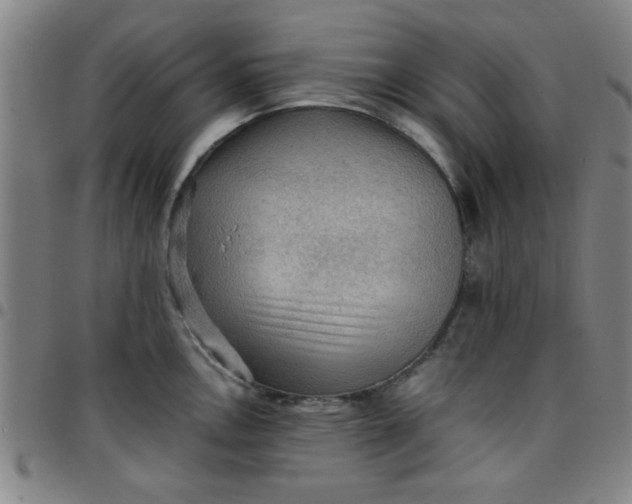 X0000097461146200803071625