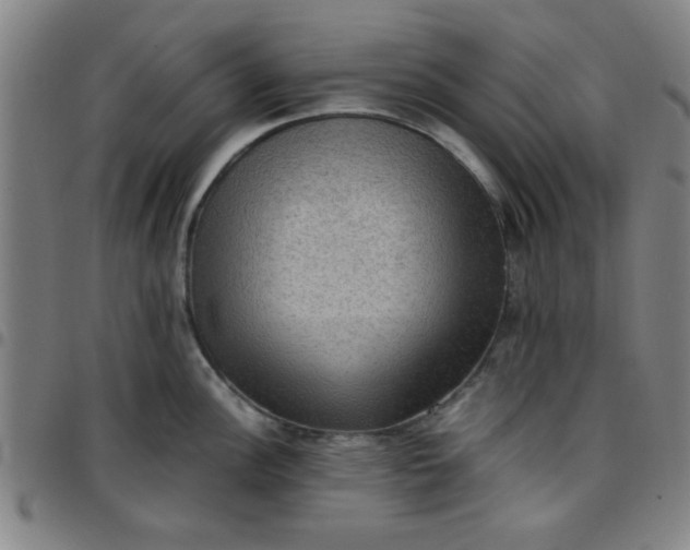 X0000097461148200803071625