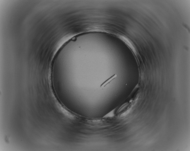 X0000097461149200803071625