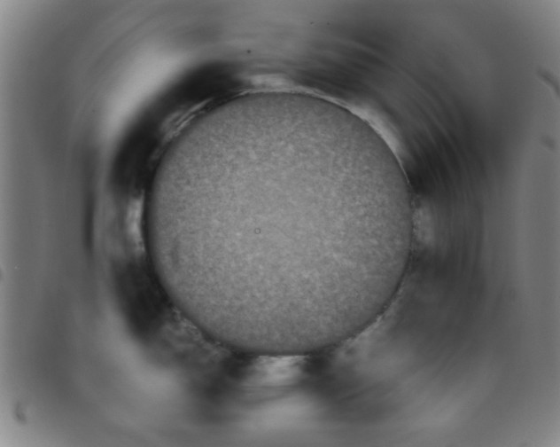 X0000097461150200803071625