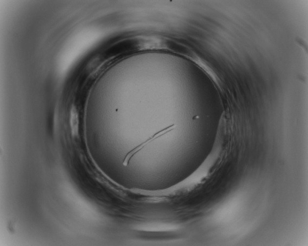 X0000097461151200803071625