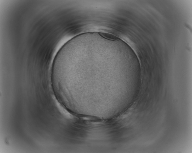 X0000097461152200803071625