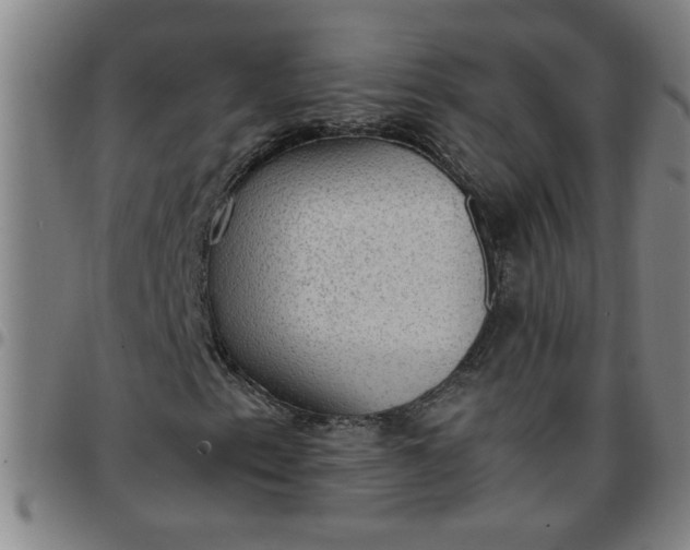 X0000097461153200803071625