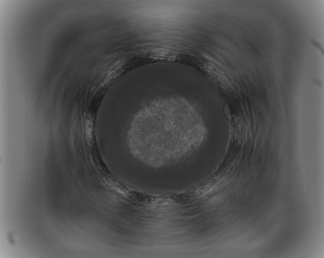 X0000097461154200803071625