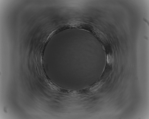 X0000097461155200803071625