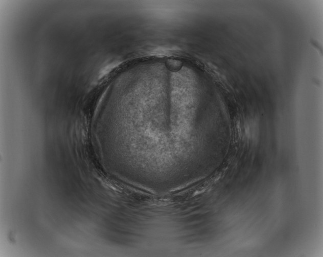 X0000097461158200803071625