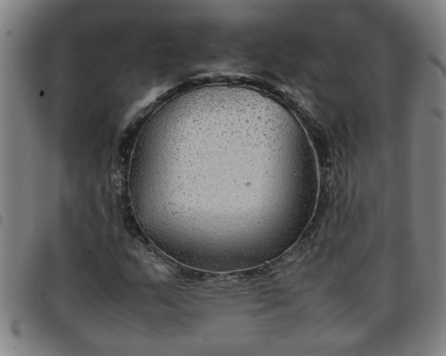 X0000097461159200803071625