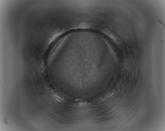 X0000097461160200803071625