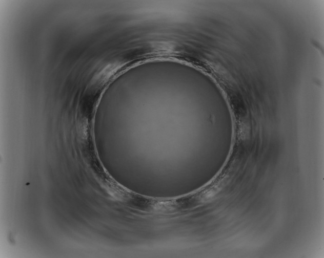 X0000097461161200803071625