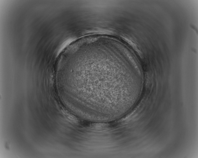 X0000097461163200803071625