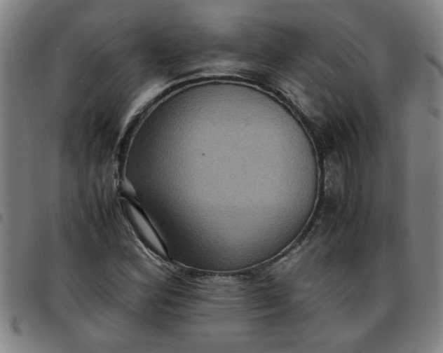 X0000097461164200803071624