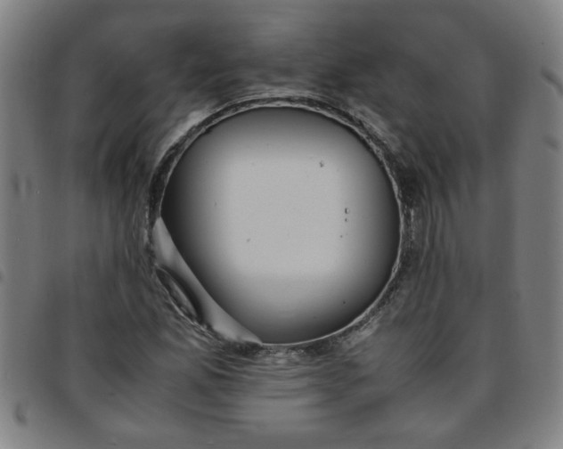 X0000097461165200803071624