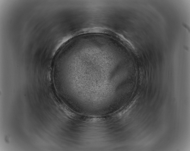 X0000097461166200803071624